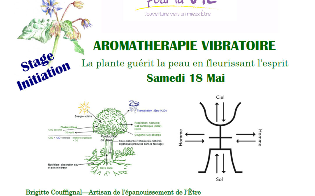 Atelier Aromathérapie Vibratoire