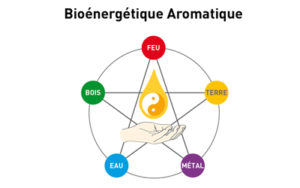 Conférence : Médecine Classique Chinoise et Aromathérapie Vibratoire