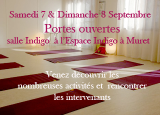 Découvertes des activités  salle Indigo