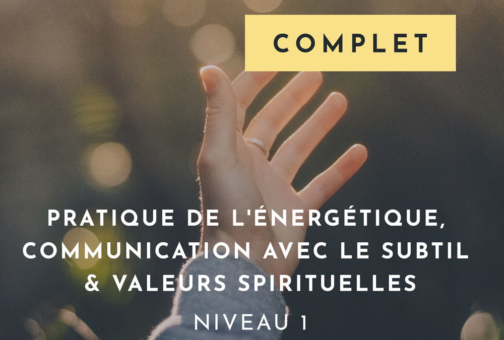 Pratique de l’énergétique, communication avec le subtil & valeurs spirituelles. Niveau 1